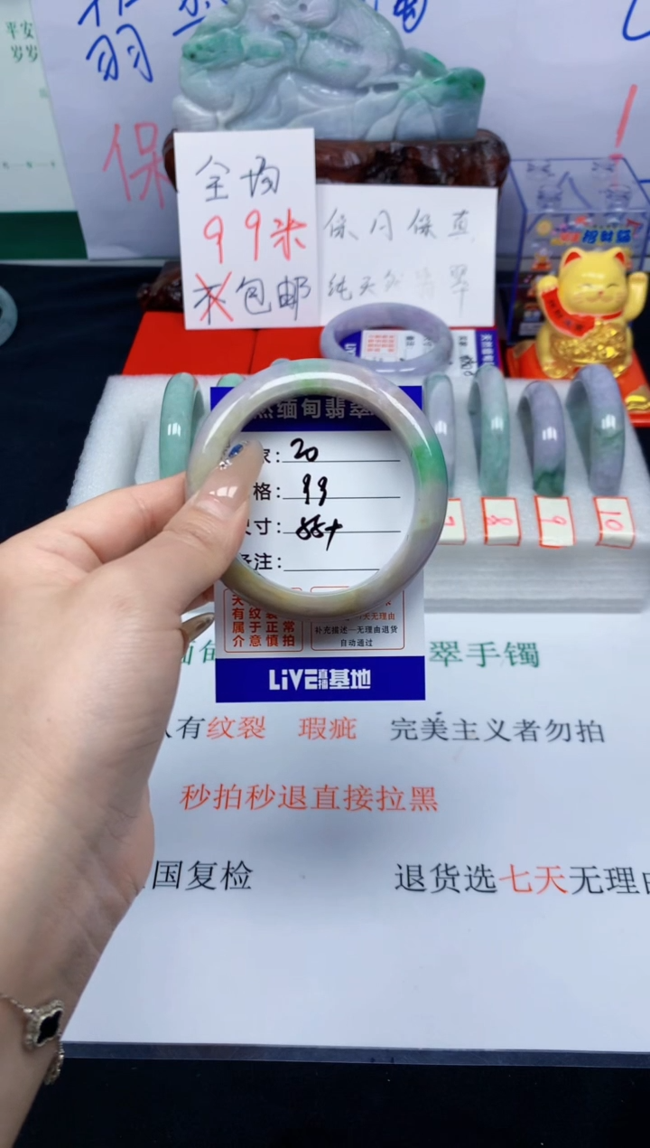 未镶嵌手镯翡翠20