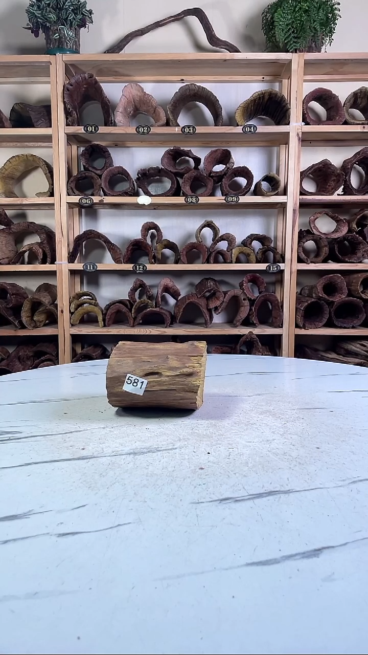 王*云南紫柚木造景沉木581