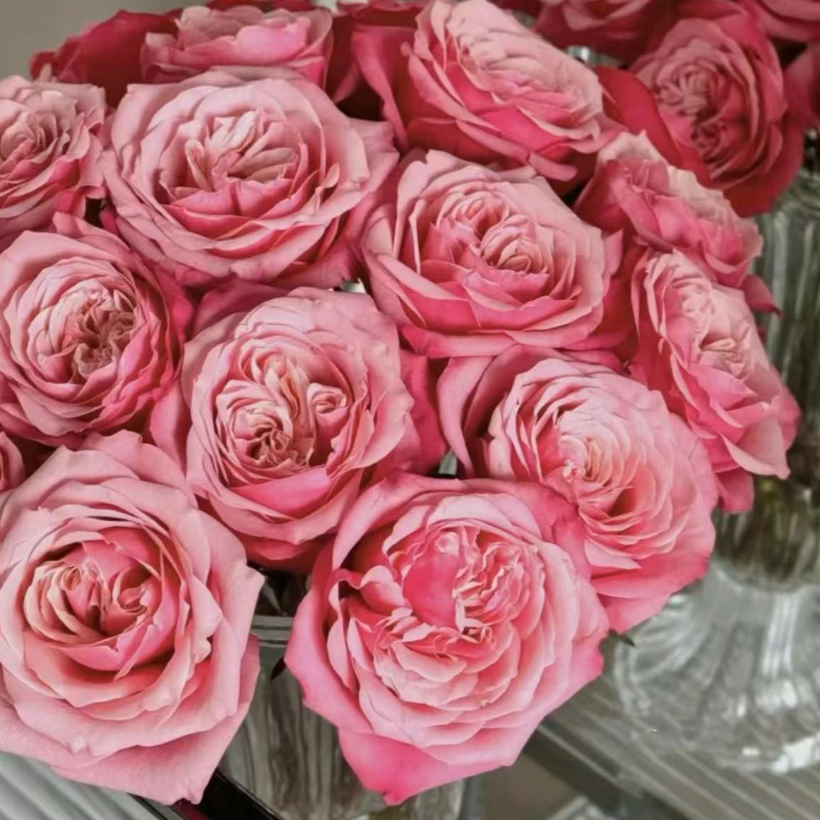 【一品花集】【闺蜜】-单头玫瑰 云南昆明基地直发家用鲜花