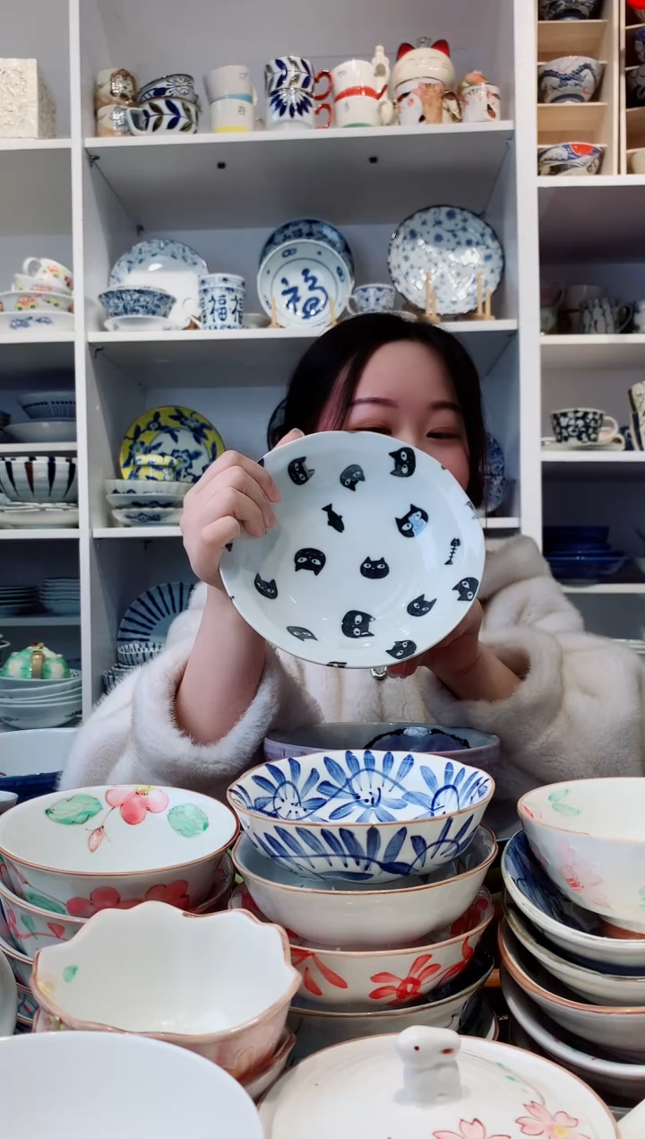 钛合金NK-2日本进口猫咪小盘