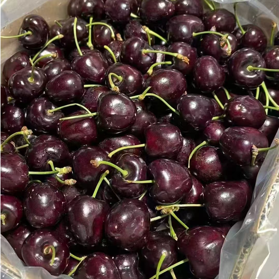 空运智利桑提娜车厘子2JD净重5斤桑提娜智利