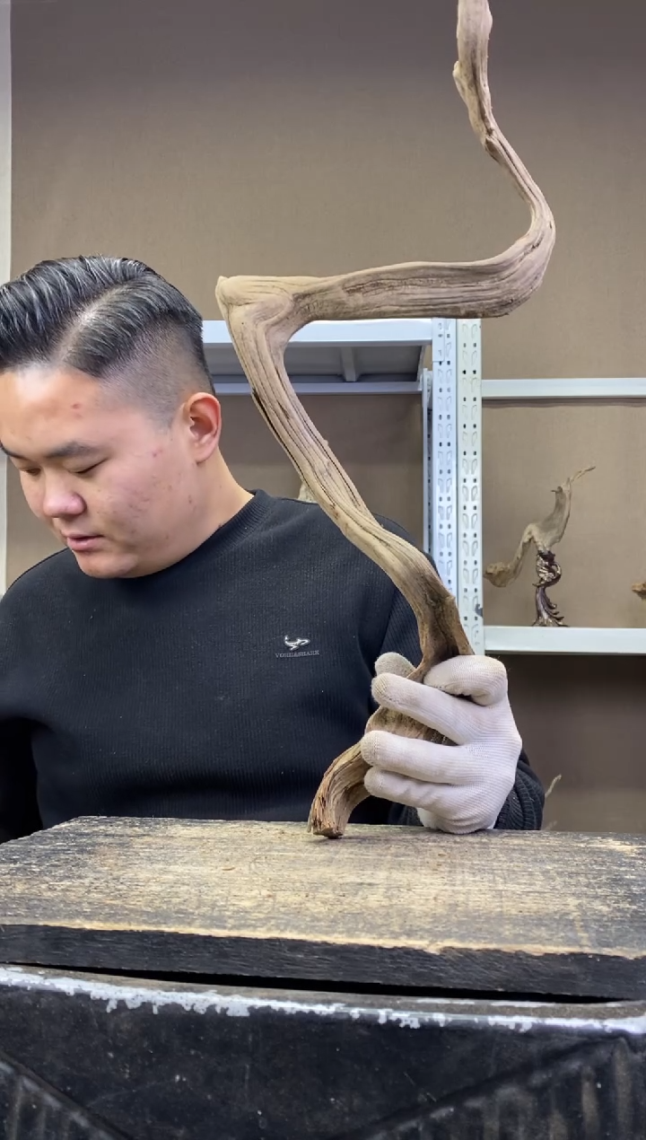 小****记胖胖崖柏精品摆件 小胖墩旅行记