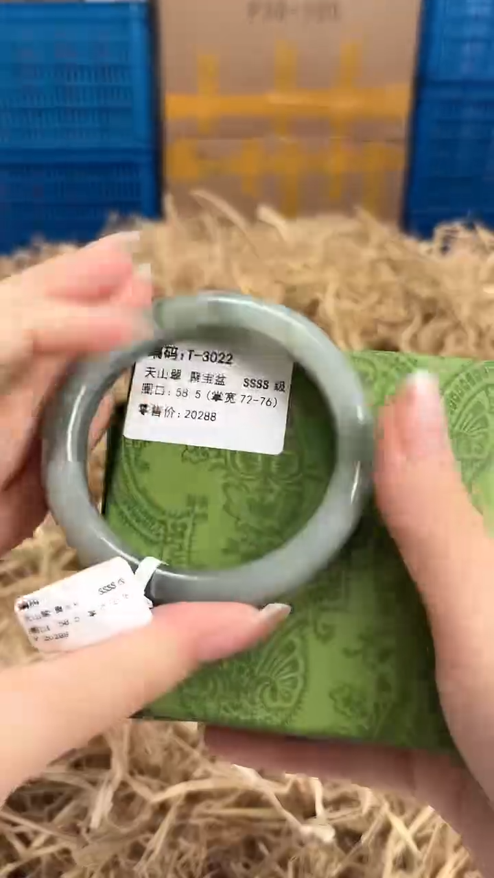 未镶嵌手镯石英质玉T-3022