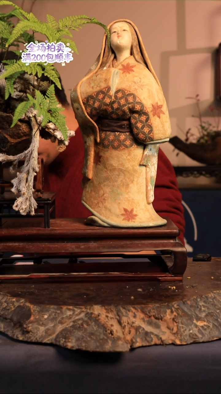 完全开放A50草本植物 不包邮