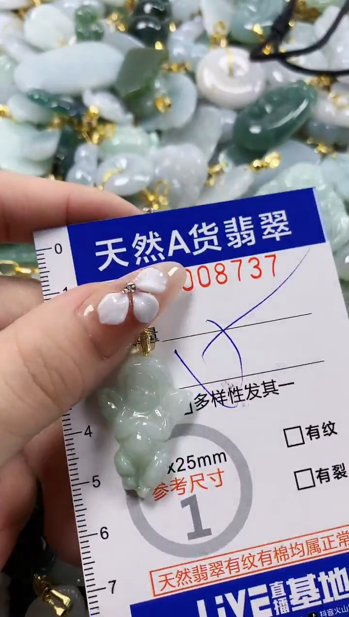 颈饰未镶嵌翡翠天然A货翡翠