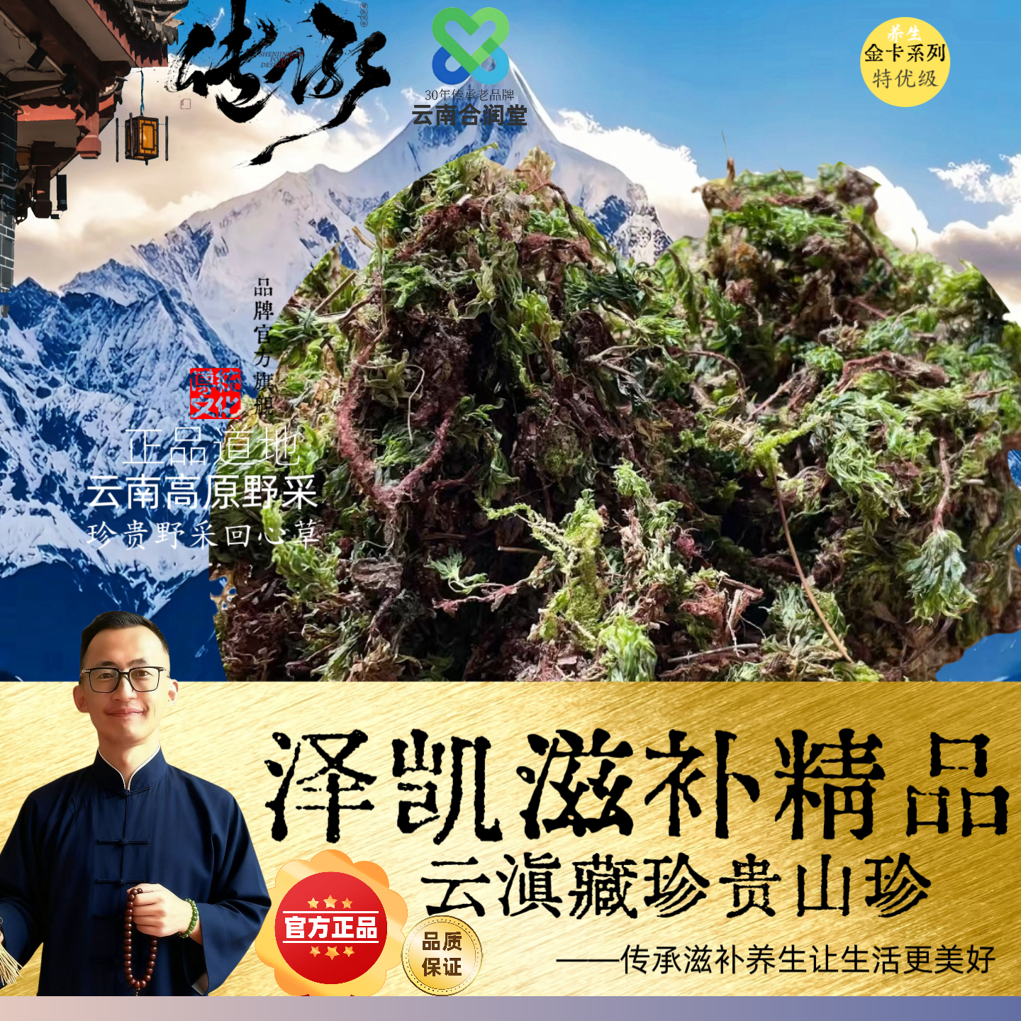 【泽凯精选】云南野采回心草 非百合