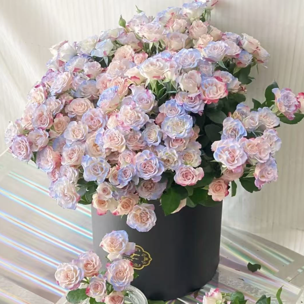 【花予专属】10枝  碎冰蓝折射多头玫瑰   云南鲜切花