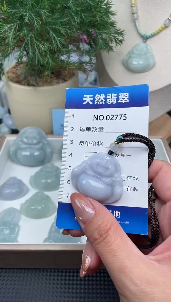 颈饰未镶嵌翡翠纯天然A货缅翡2775