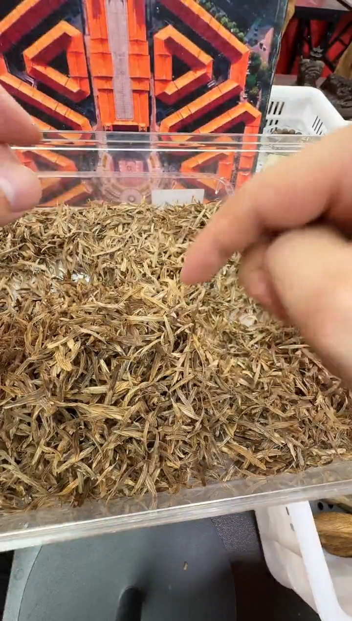 沉香沉香香囊y203文莱2g多样性发一