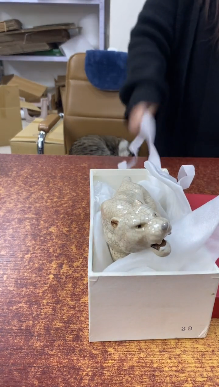 瓷片533小林轩欢迎您