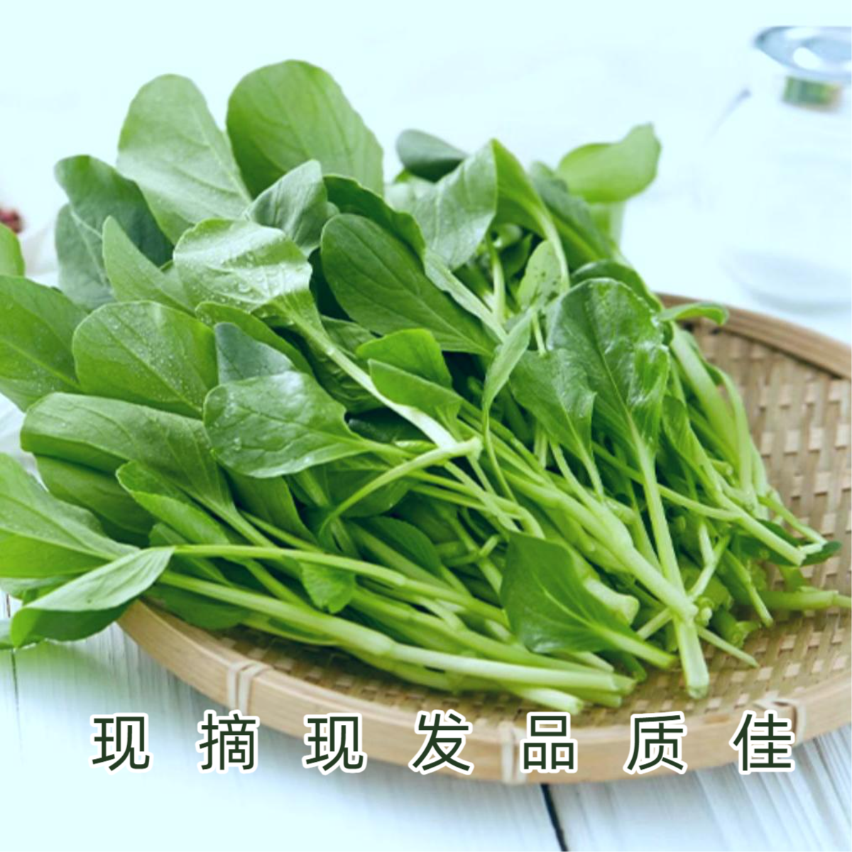 小油菜苗 北京密云本地农家肥【好东西】绿色蔬菜