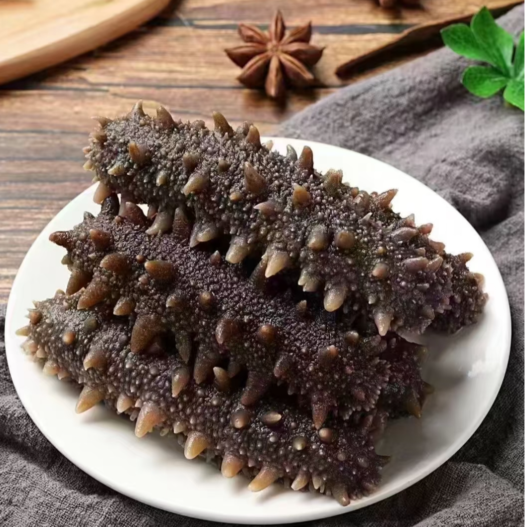 源头直供鲜食海参5斤（25g）