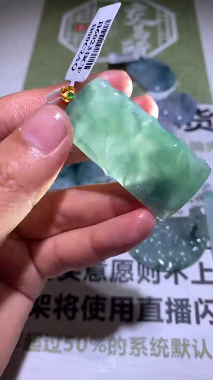 翡翠18K金镶嵌颈饰-净货