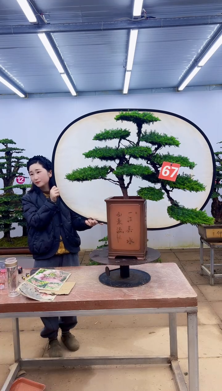 无花朵一物一拍，所见即所得