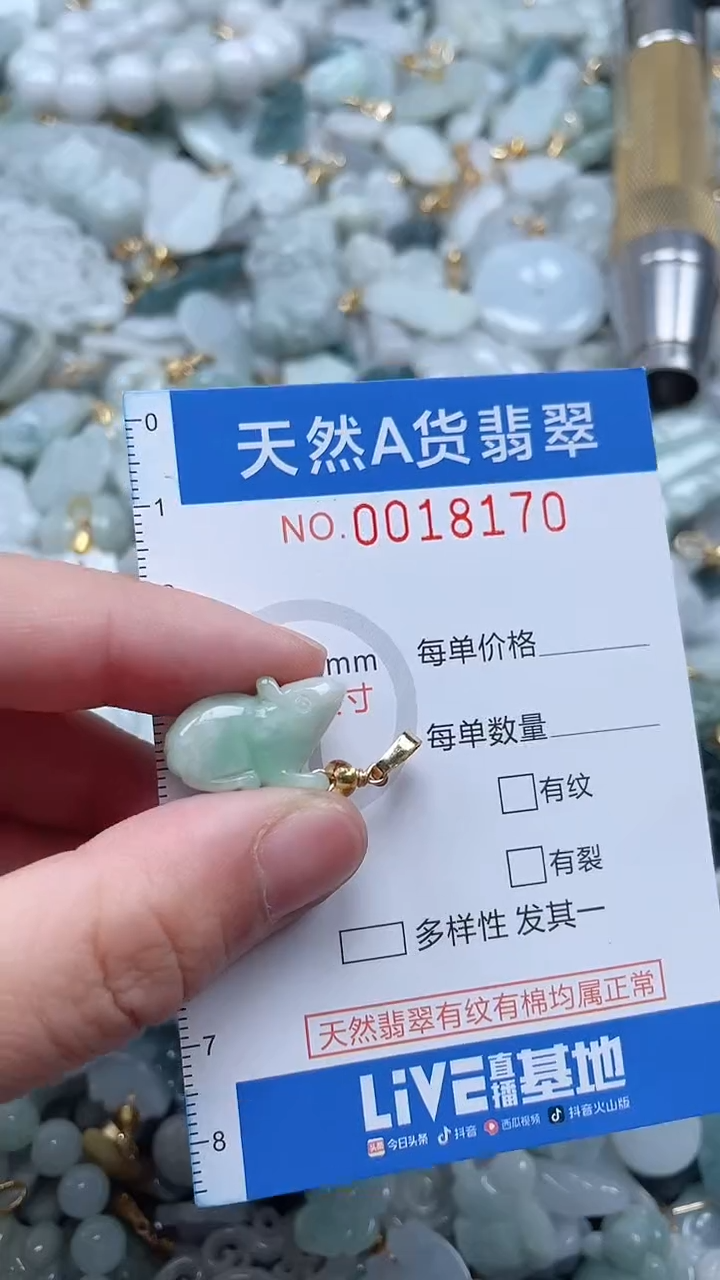 翡翠未镶嵌吊坠(不含链)1