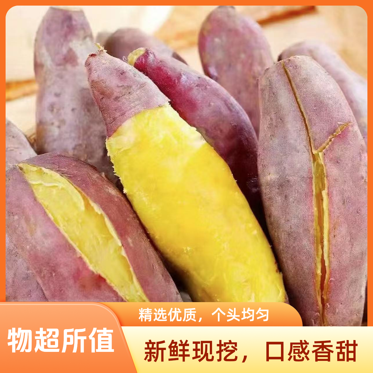 板栗红薯（济薯）1000g±50g份