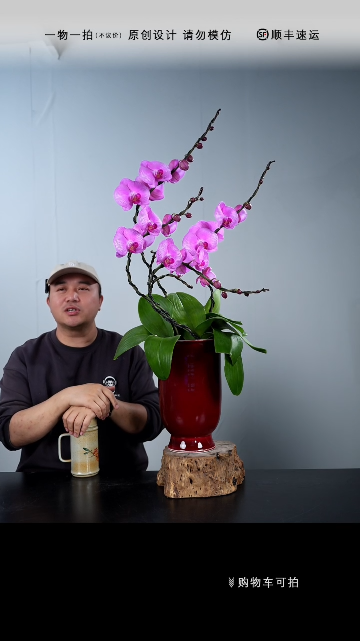 【闪购商品】053号链接【一物一拍】艺术盆景