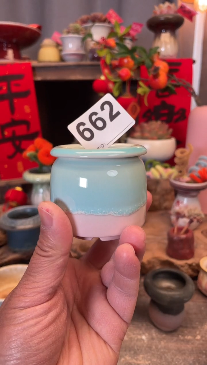 【闪购商品】摆件662知木小芳花盆