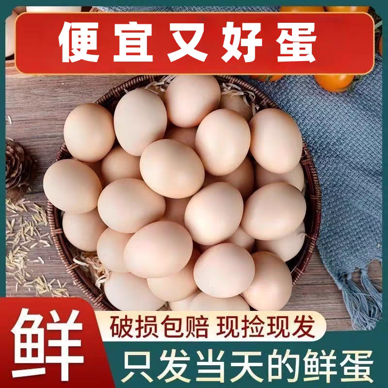 50枚农家散养土鸡蛋新鲜现捡现发营养健康a