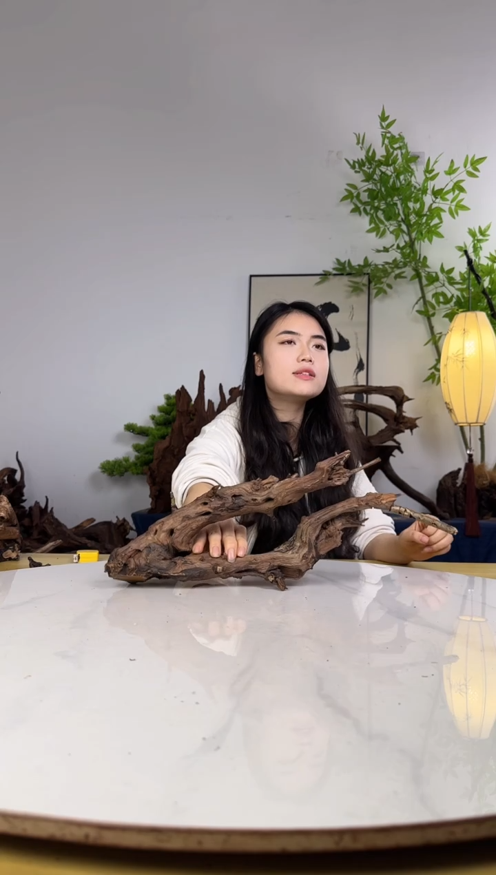 a****拍沉木定向链接编号52