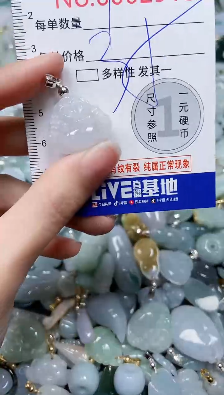 【闪购商品】翡翠颈饰未镶嵌闪购00002916