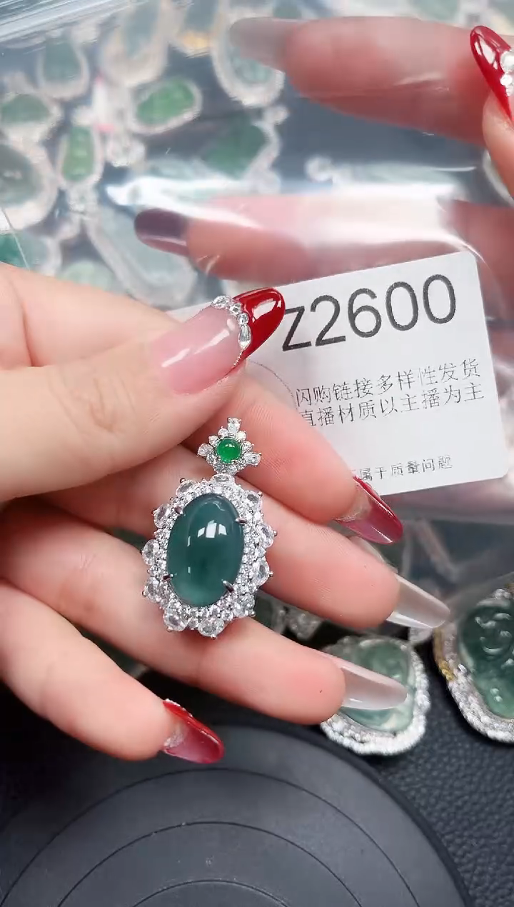 【闪购商品】翡翠颈饰未镶嵌赠皮绳2600