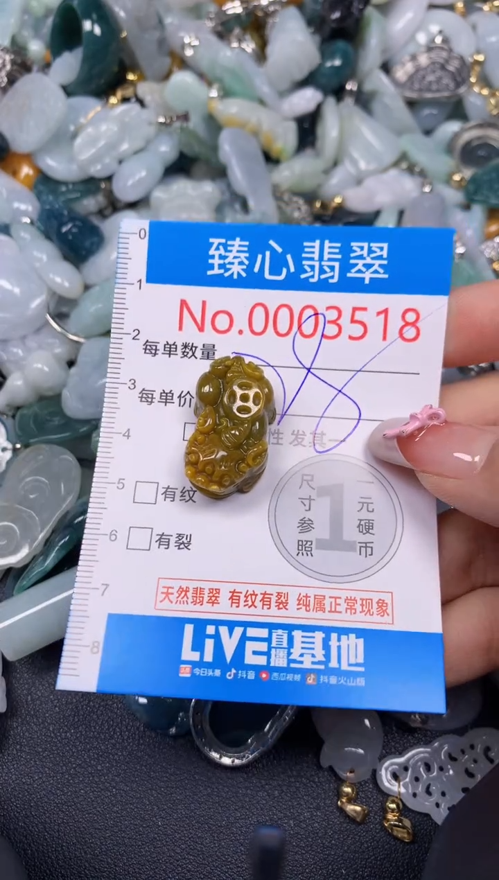 【闪购商品】翡翠颈饰未镶嵌含绳0003518