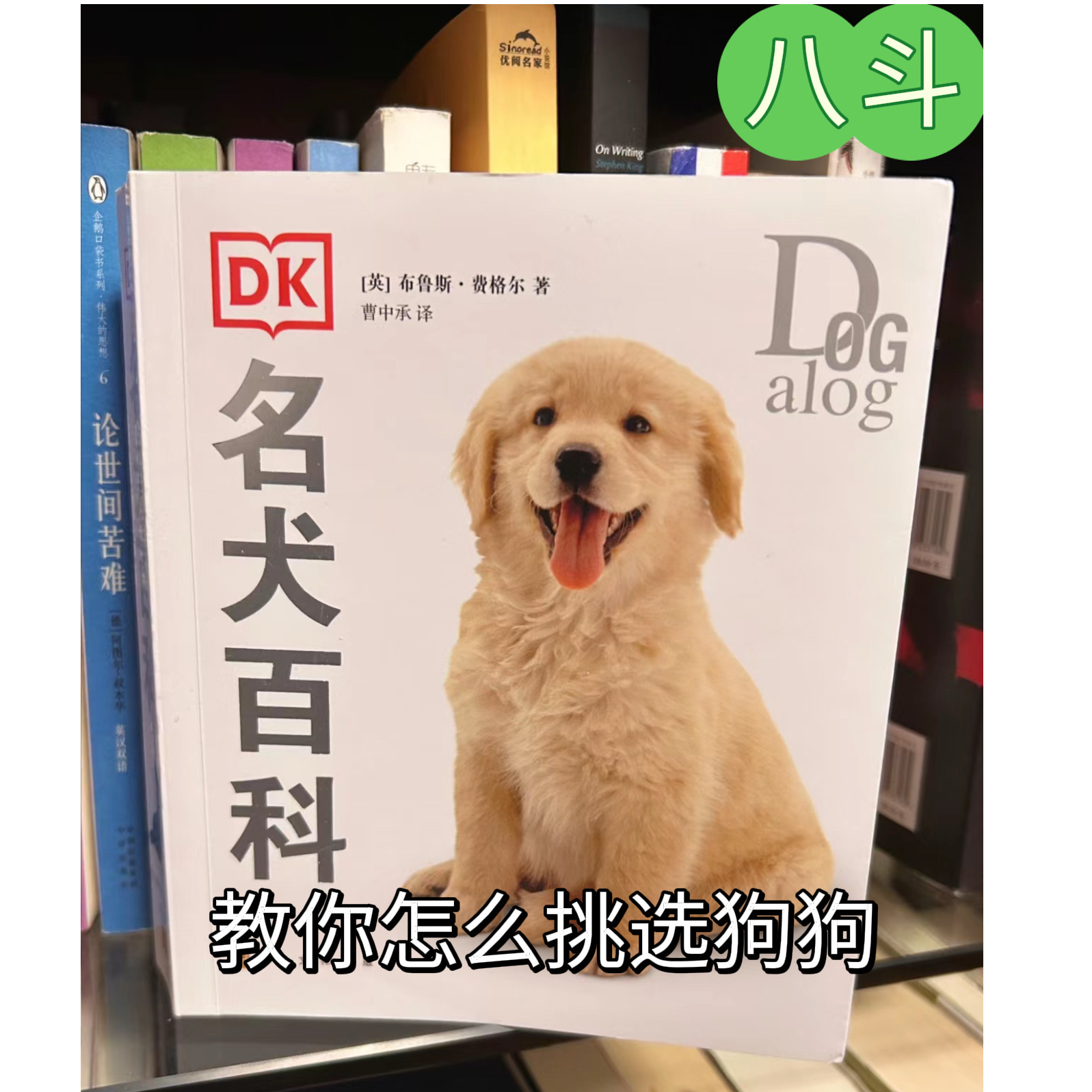八斗教你如何挑选狗狗