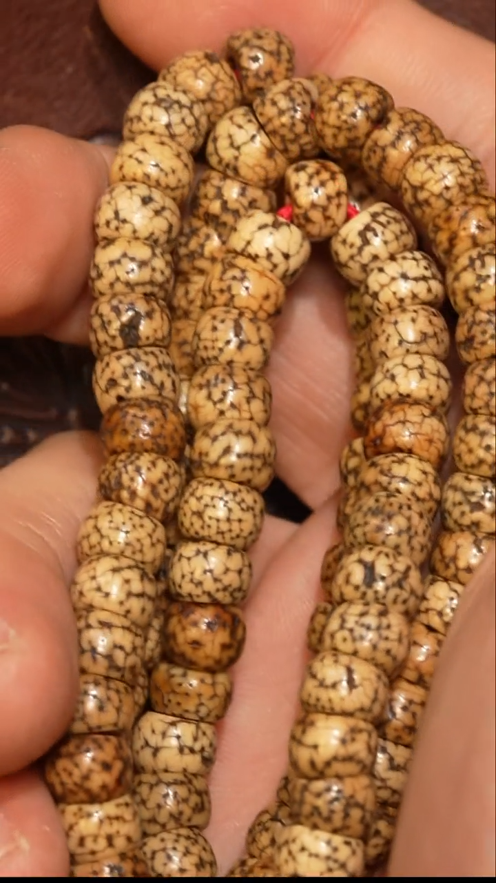 【闪购商品】冲赛康胡子哥，藏传念珠45