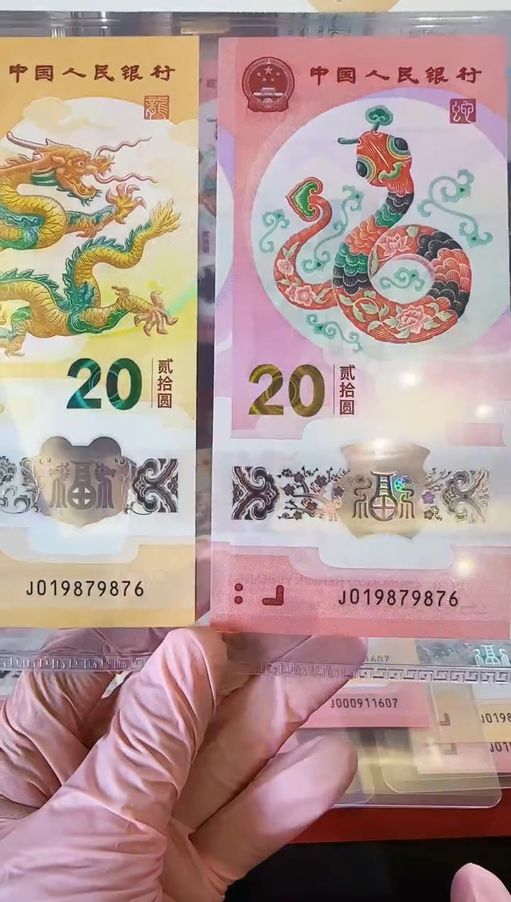 【闪购商品】塑料2025蛇钞全同号019879876裸