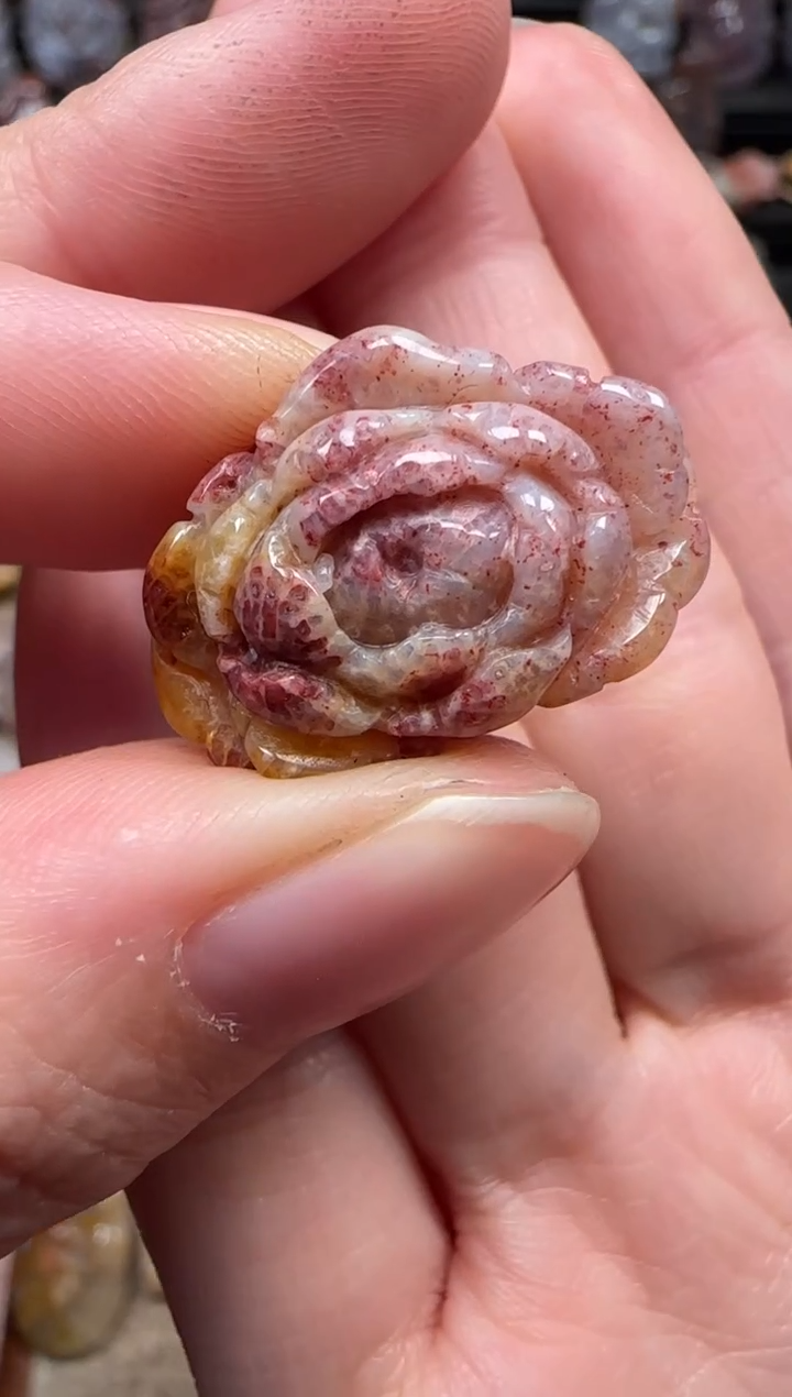 颈饰未镶嵌硅化珊瑚（珊瑚玉）415