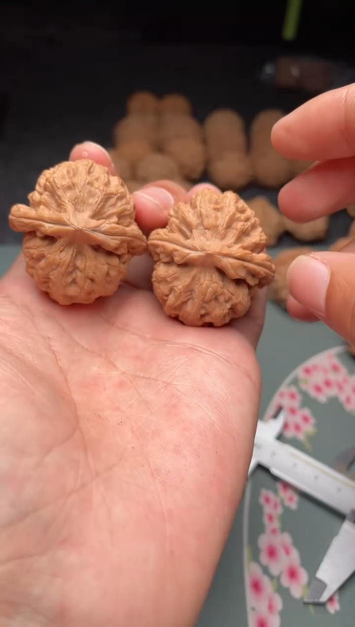 核桃a201  红锦鲤 39尺 天残脚