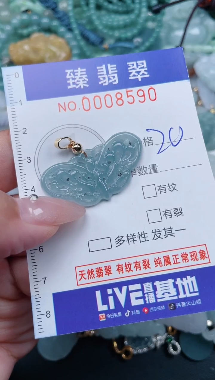 翡翠未镶嵌颈饰.0008590