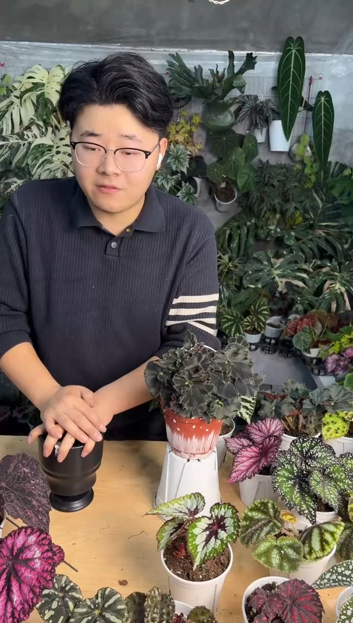 完全开放N****。黑骑士