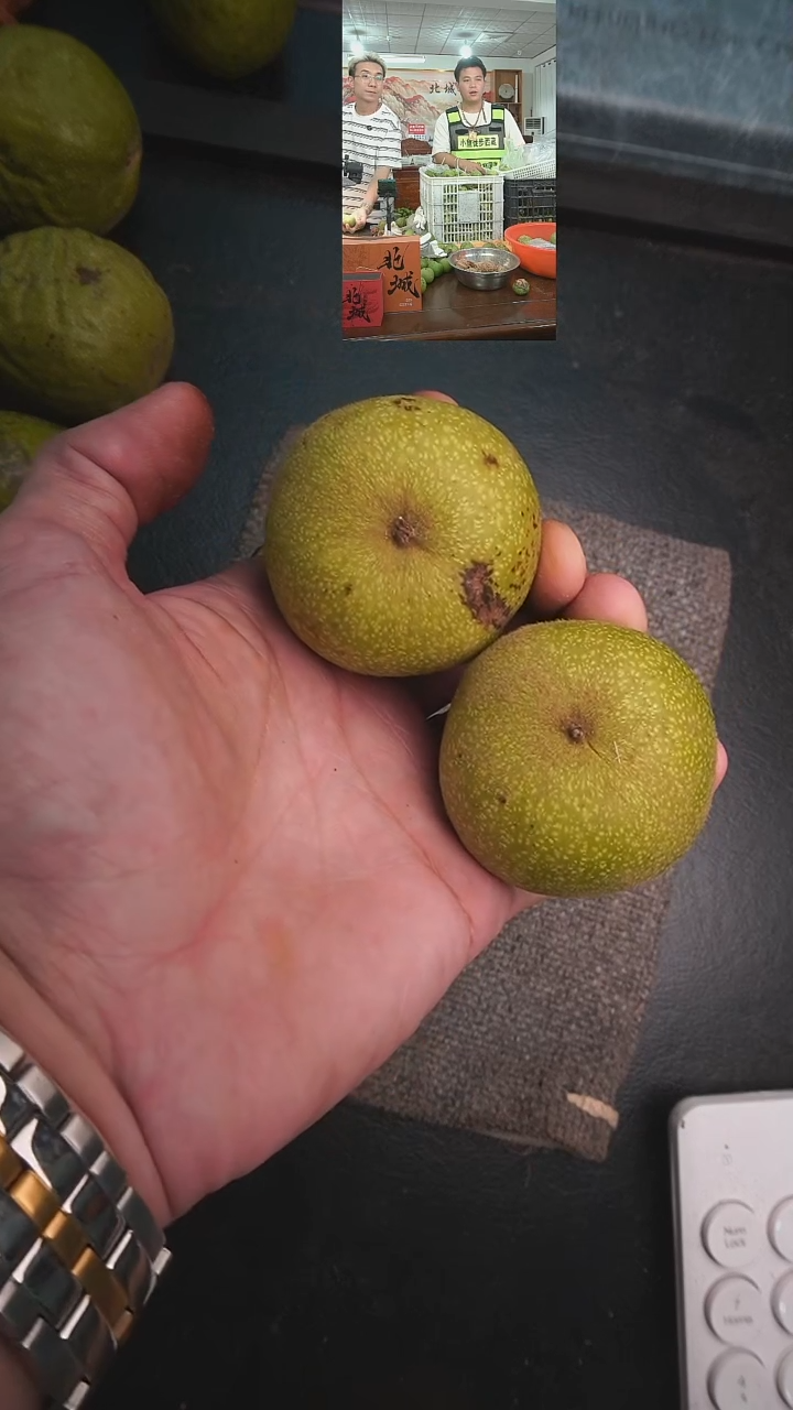 文玩核桃把件青皮磨盘53尺左右2个（售出不退不换）