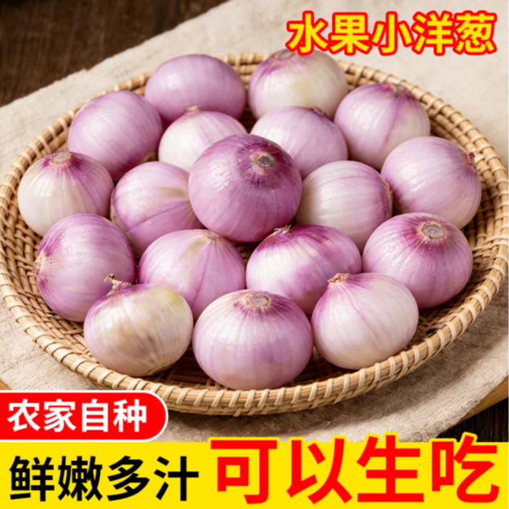 【珍珠小洋葱】紫红皮小洋葱生吃微辣微甜可炒菜蔬菜现挖现发