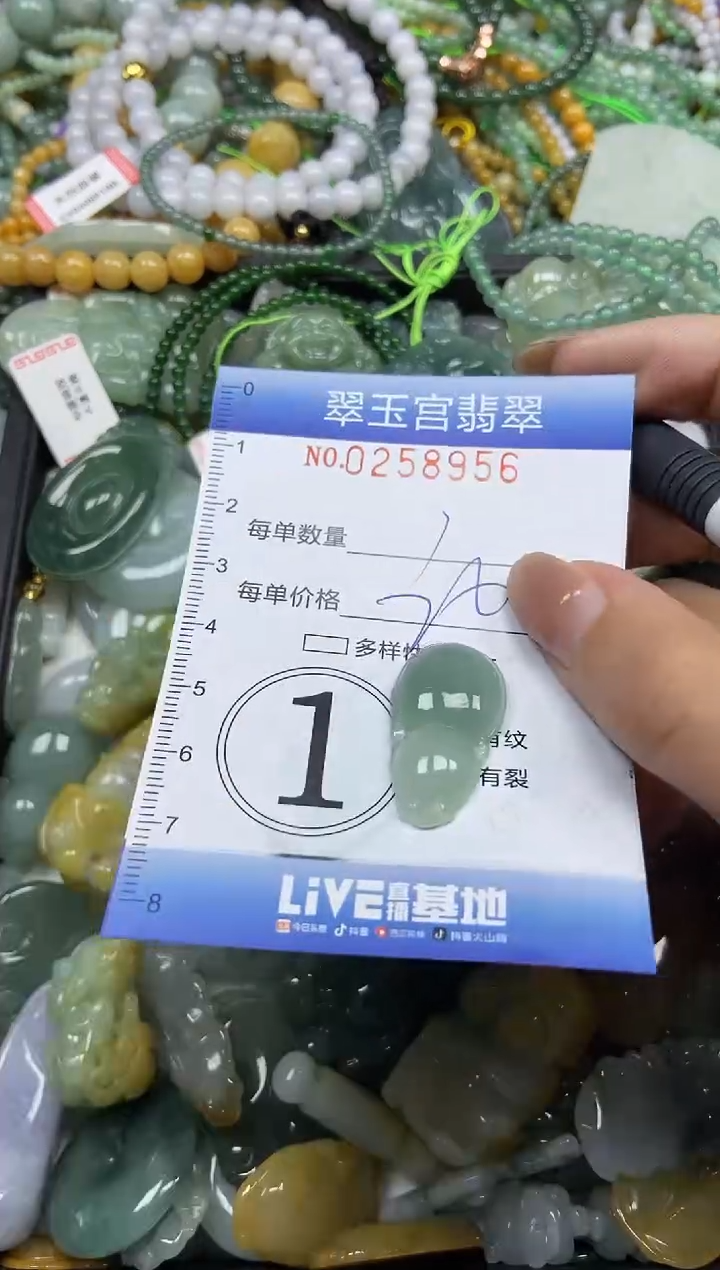 颈饰未镶嵌翡翠闪购C0258956
