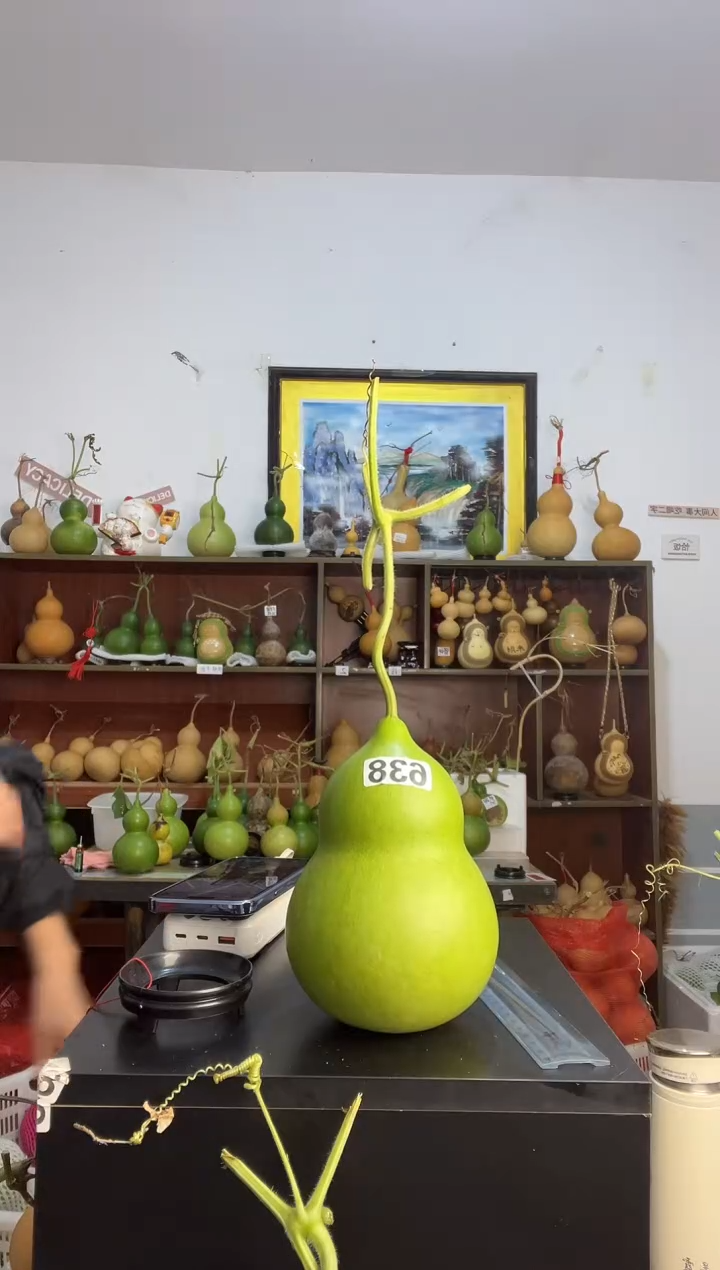 芃*638天然葫芦摆件 一物一拍龙头不保售后