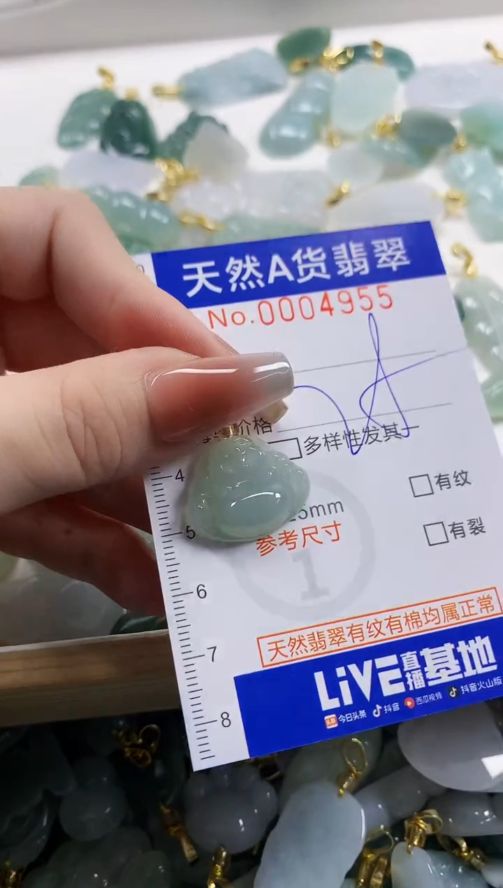 颈饰未镶嵌翡翠天然A货翡翠