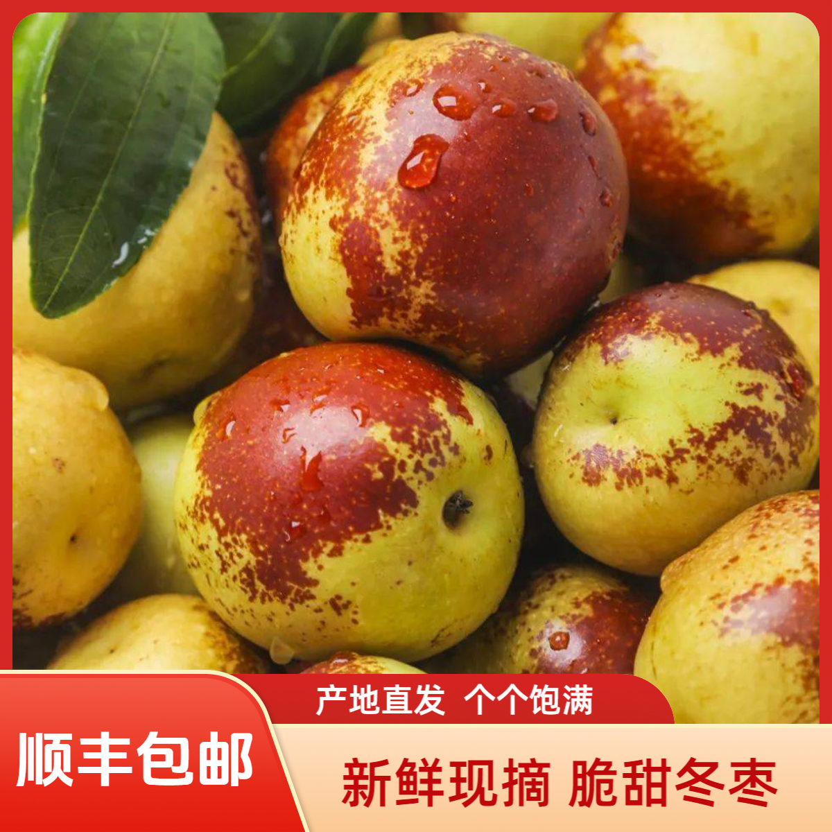 【顺丰包邮】脆甜冬枣现摘现发应季新鲜脆甜多汁水果产地直发