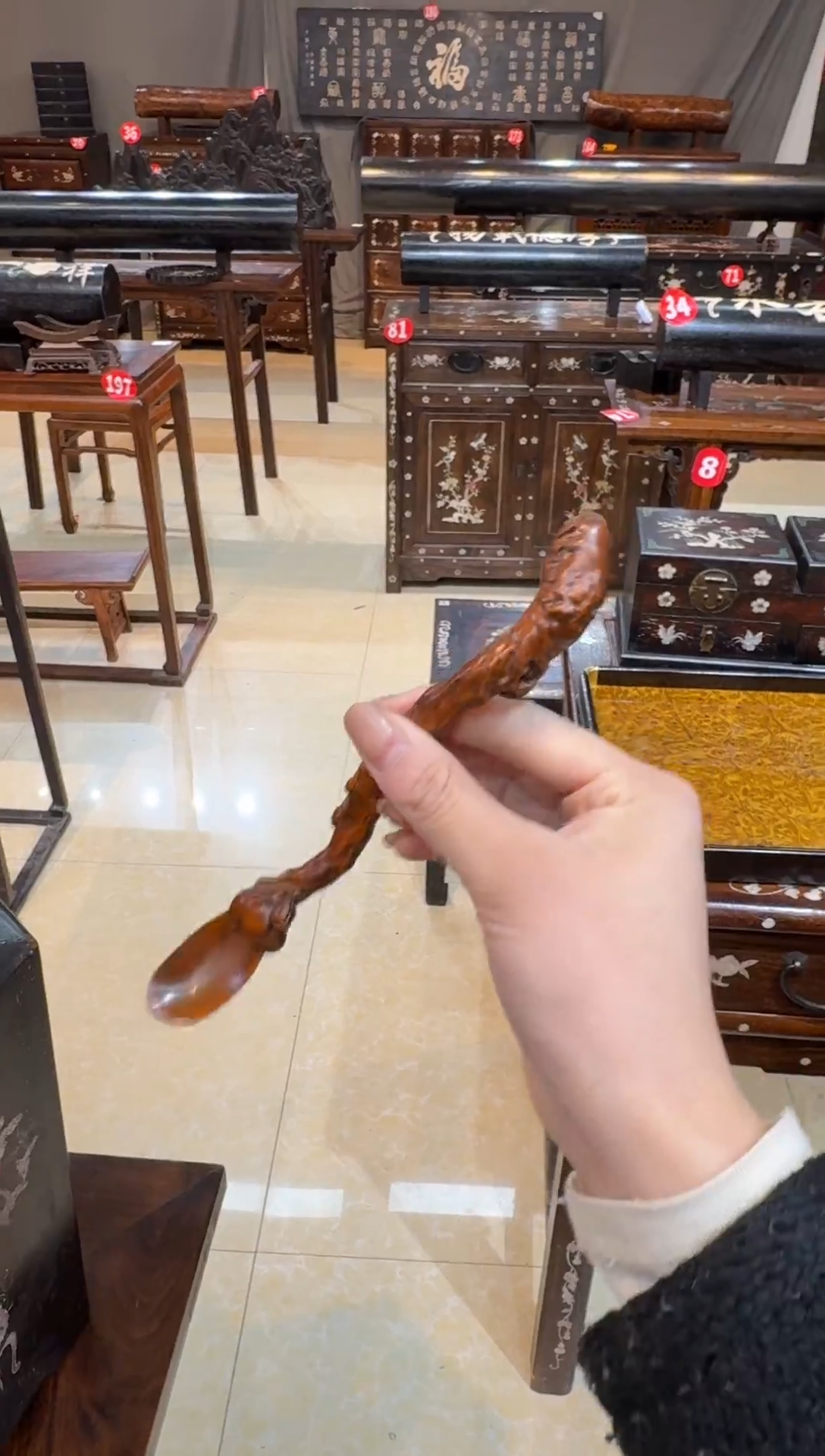 小叶黄杨茶则木木木