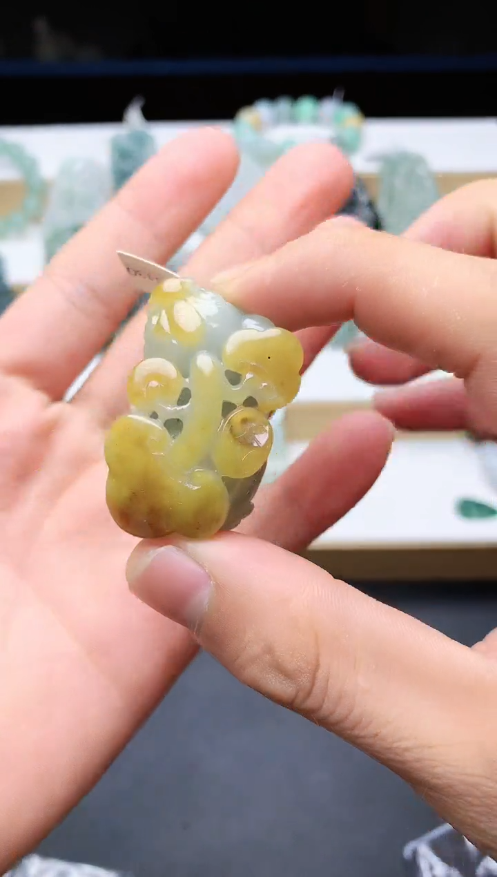 【闪购商品】翡翠颈饰未镶嵌2644挂件