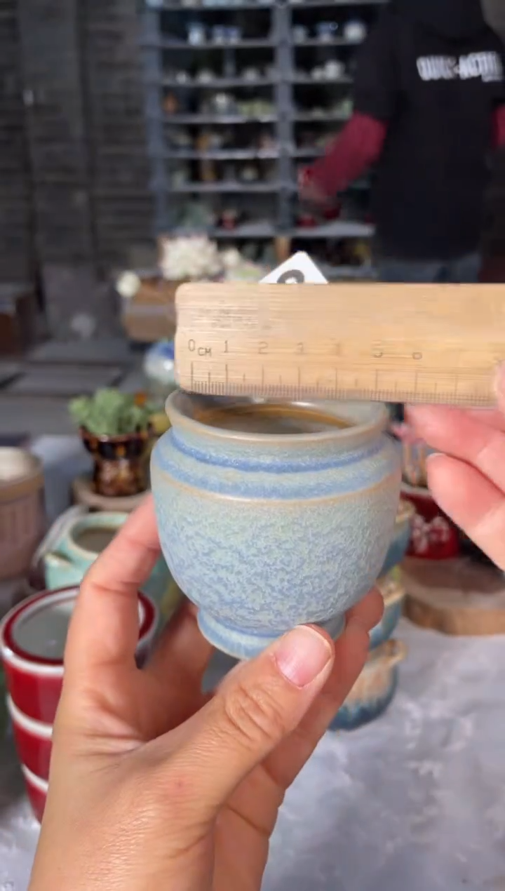 瓷片523小芳直播编号