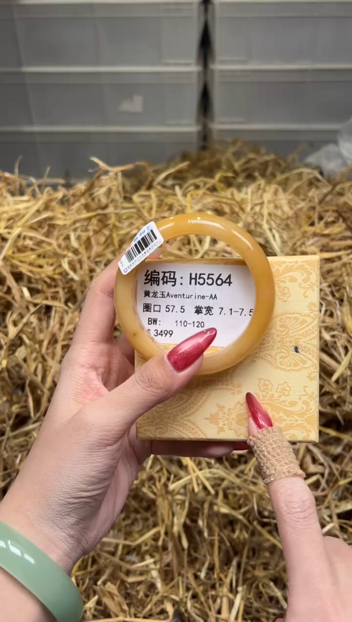 未镶嵌手镯石英质玉H5564