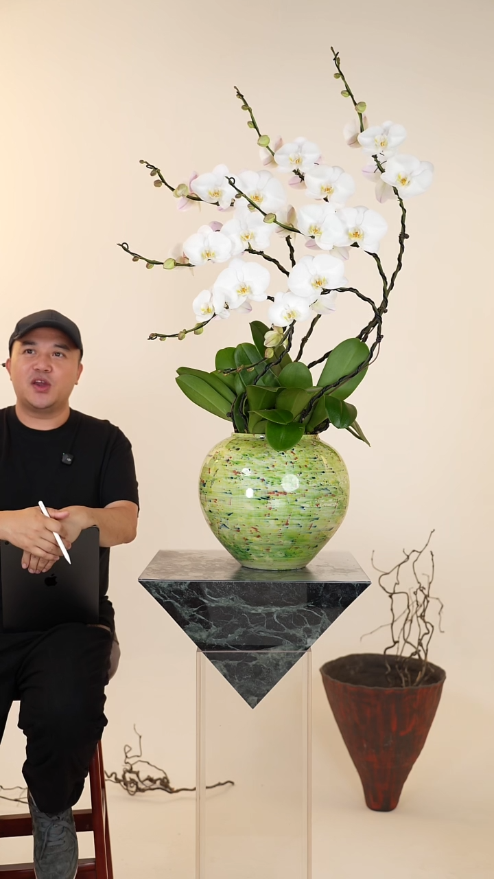 全部花朵018号【一物一拍】蝴蝶兰