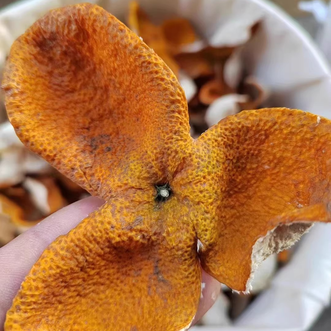 《收藏果王狗腩皮梅江塞口围》2025年老树新皮自然生晒陈化存放蜜香