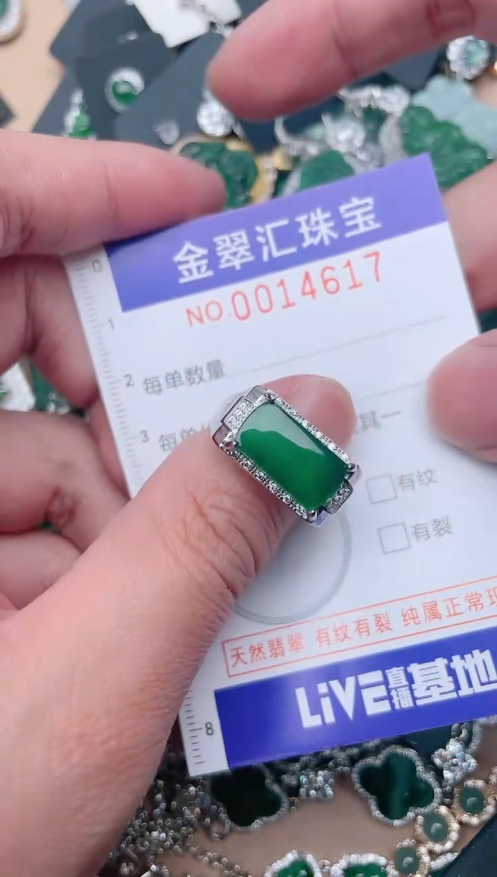 【闪购商品】翡翠颈饰未镶嵌14717...