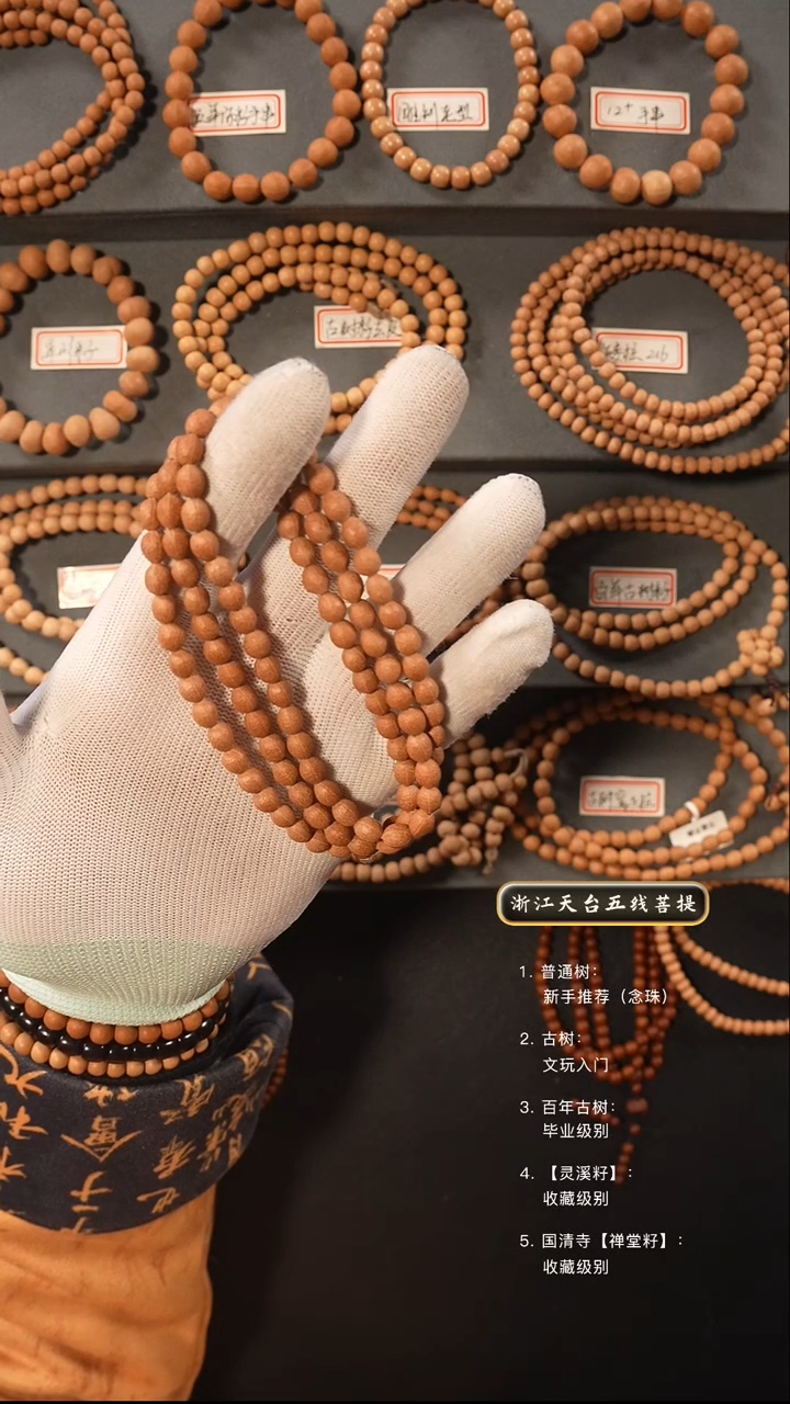 【闪购商品】五线菩提吊坠灵犀籽陈籽原皮脖挂6.2左右尺寸