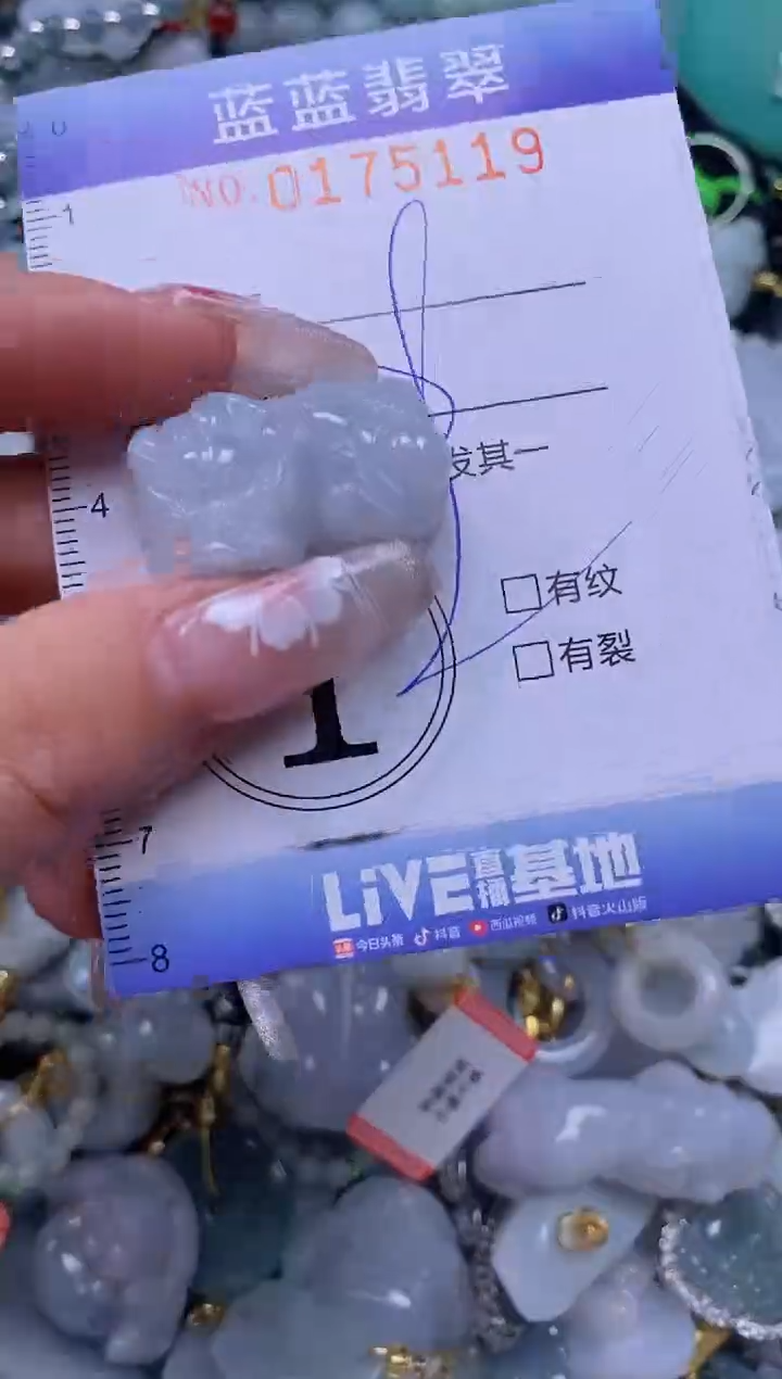 【闪购商品】翡翠颈饰未镶嵌闪购0175119