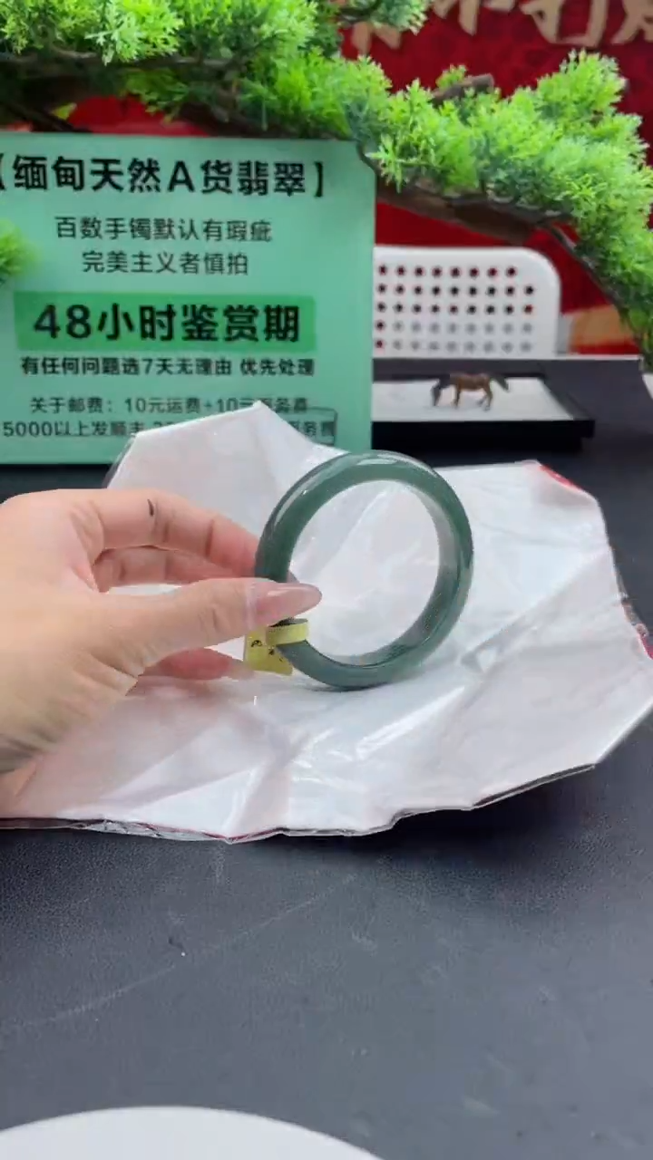 【闪购商品】翡翠手镯未镶嵌翡翠手镯3